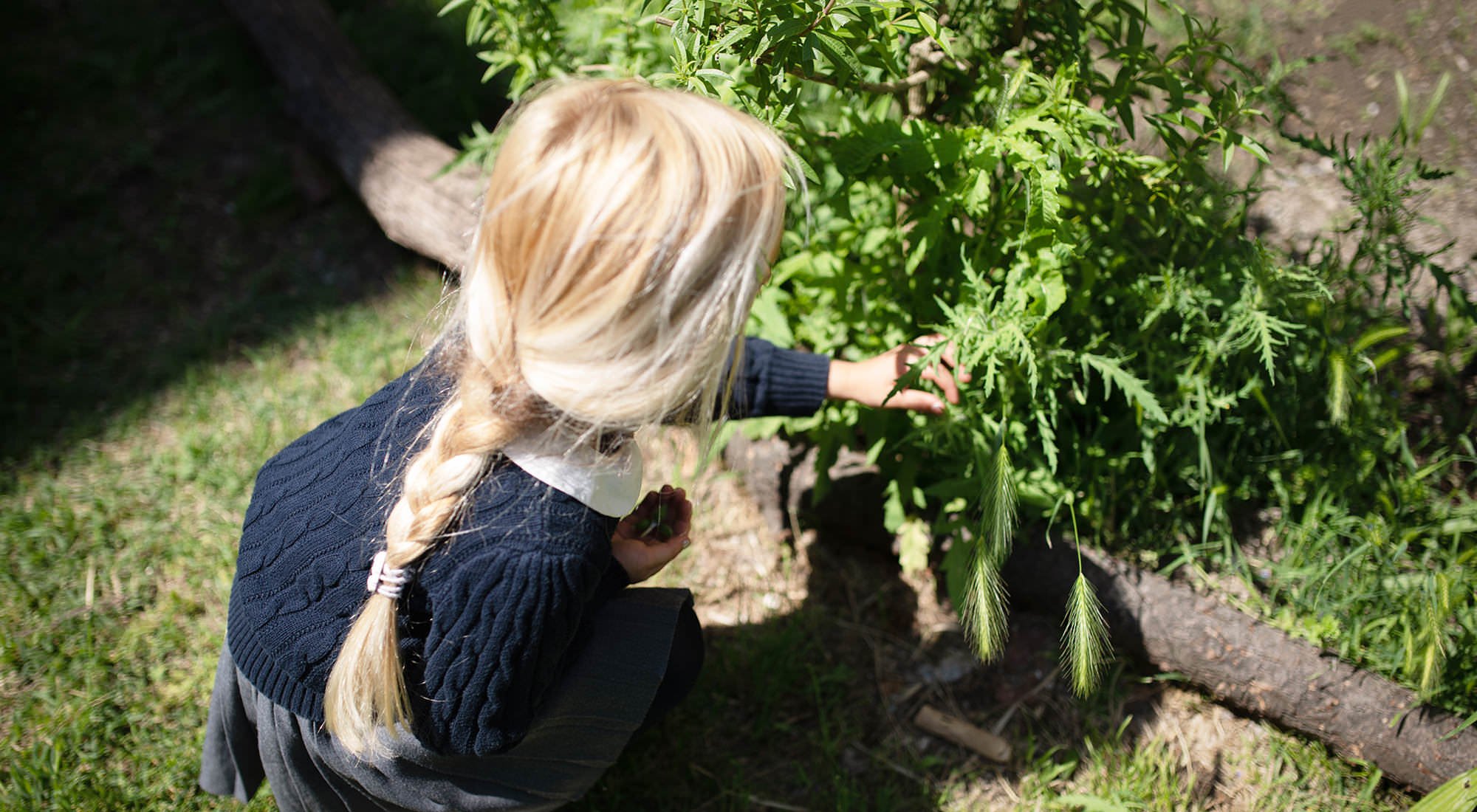 08pan Di Zenzero Mildabendphoto