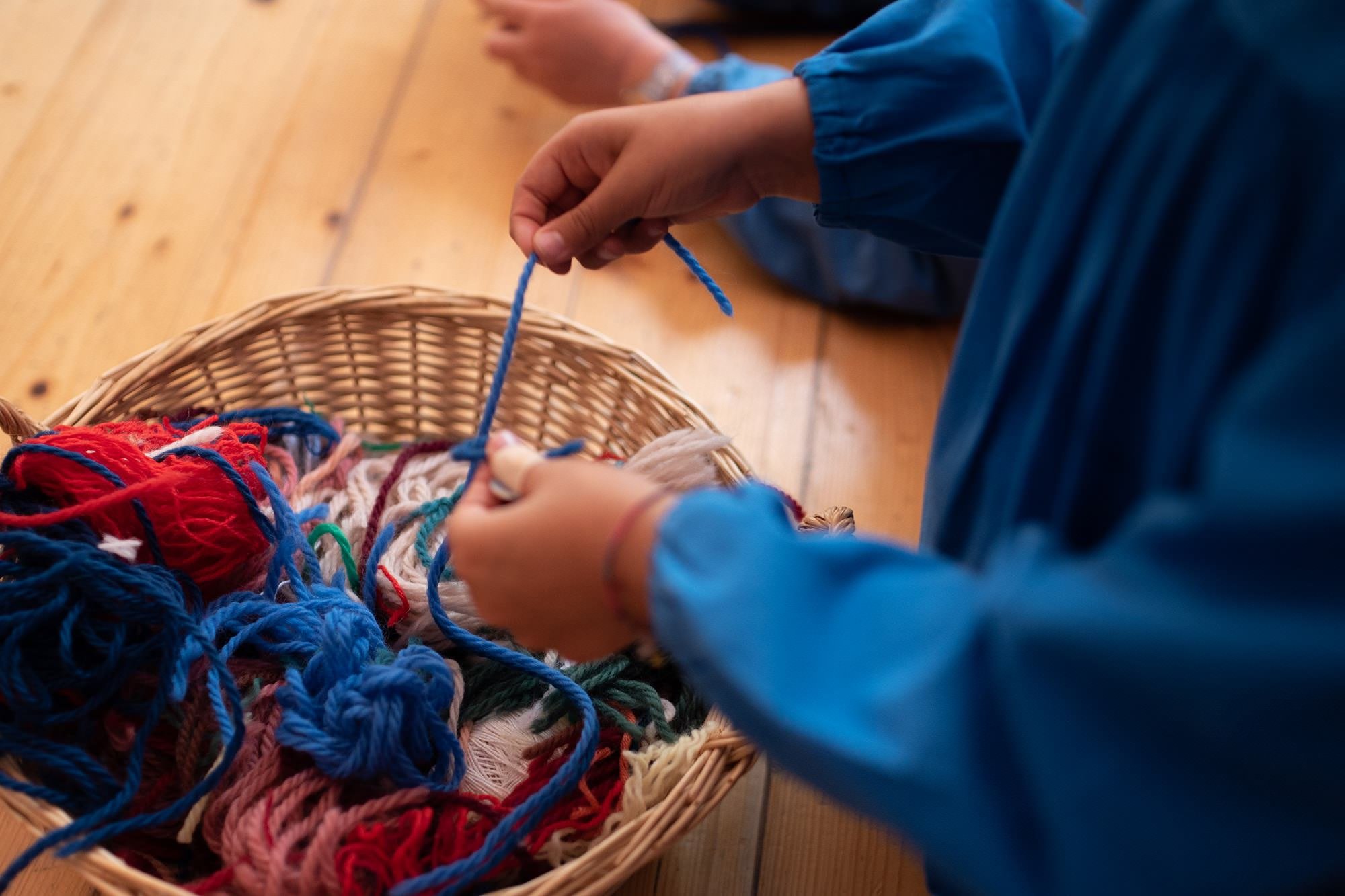 09pan Di Zenzero Mildabendphoto 1