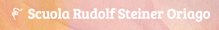 Oriago Steiner