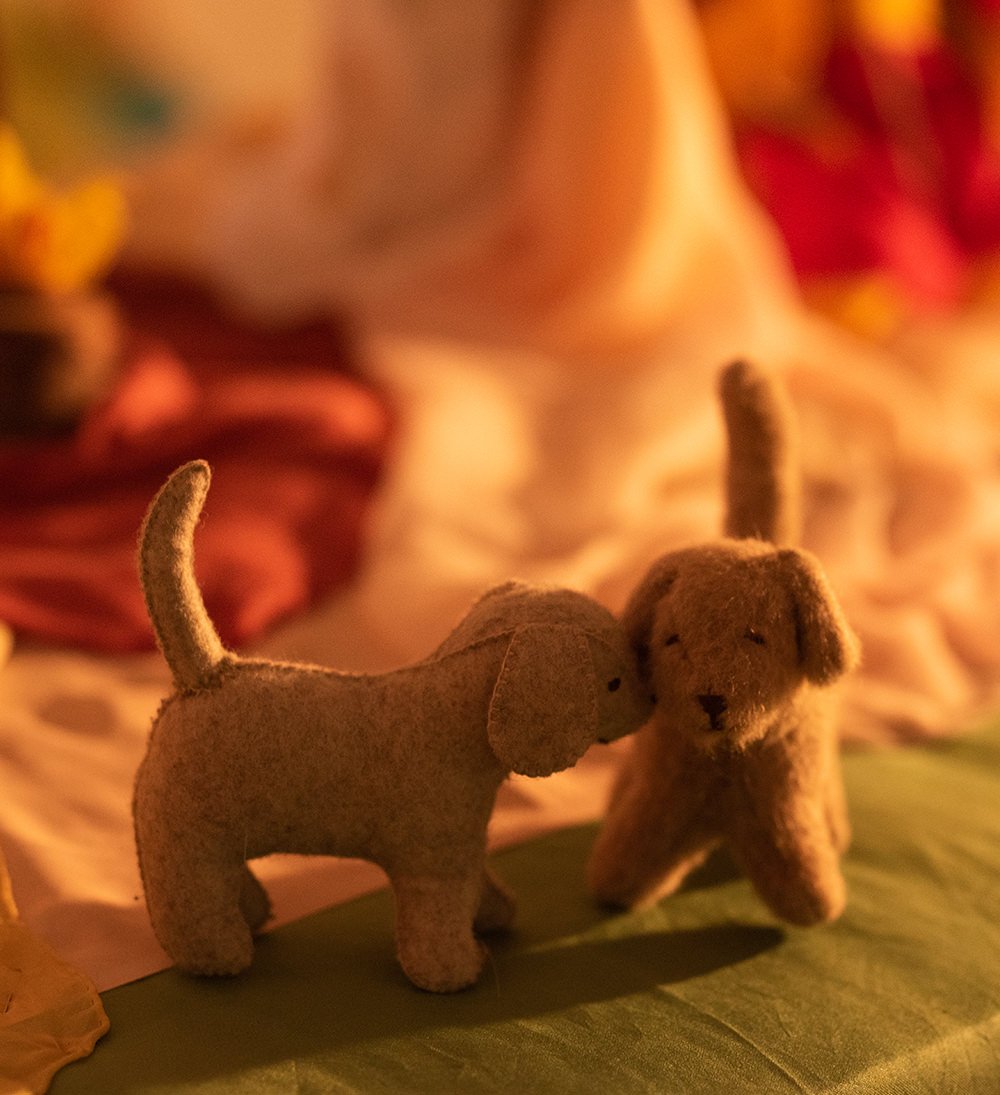 12pan Di Zenzero Mildabendphoto